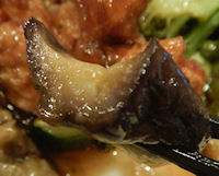 �K�X�g ���|����g��