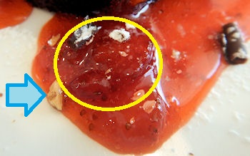 �K�X�g �����X�̃P�[�L