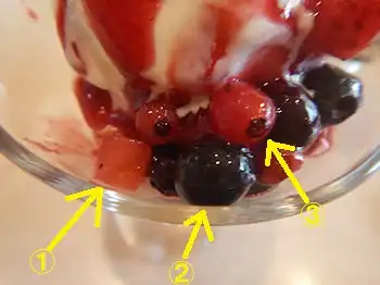 �K�X�g�@�T���f�[