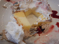 �K�X�g ��p�J�X�e���̃N���[���E�h�E�}����