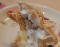 �K�X�g ��p�J�X�e���̃N���[���E�h�E�}����