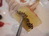 �K�X�g ��p�J�X�e���̃N���[���E�h�E�}����