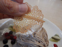 �K�X�g ��p�J�X�e���̃N���[���E�h�E�}����