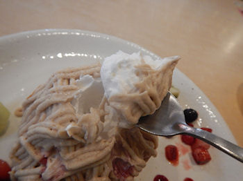 �K�X�g ��p�J�X�e���̃N���[���E�h�E�}����