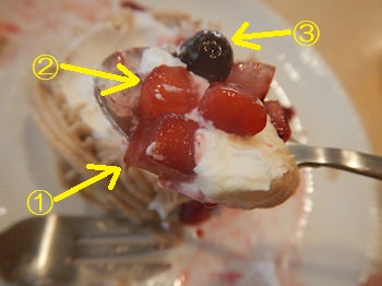 �K�X�g ��p�J�X�e���̃N���[���E�h�E�}����