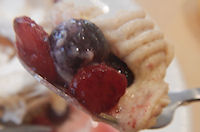 �K�X�g ��p�J�X�e���̃N���[���E�h�E�}����