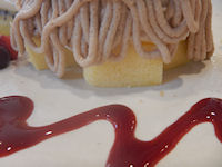 �K�X�g ��p�J�X�e���̃N���[���E�h�E�}����