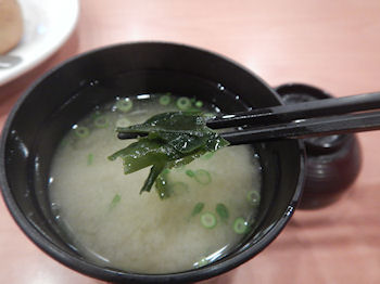 �K�X�g �`�[�YIN�����`�J�c