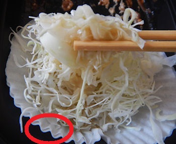 �K�X�g �`�[�YIN�����`�J�c