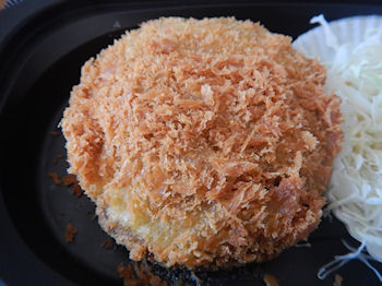 �K�X�g �`�[�YIN�����`�J�c