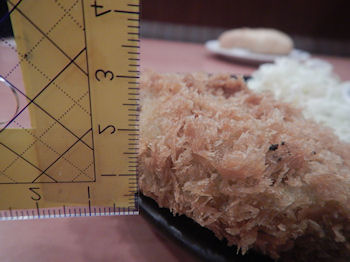 �K�X�g �`�[�YIN�����`�J�c