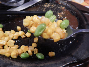 �K�X�g �`�[�YIN�n���o�[�O�l�C����