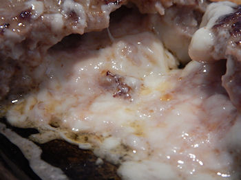 �K�X�g �`�[�YIN�n���o�[�O