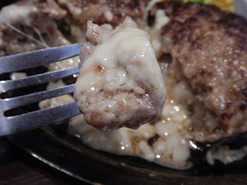 �K�X�g �`�[�YIN�n���o�[�O