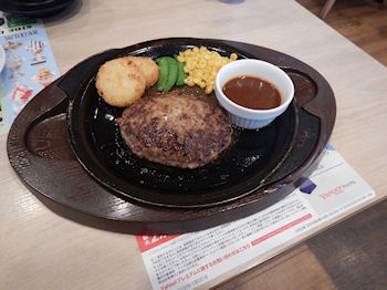 �K�X�g�@�`�[�YIN�n���o�[�O