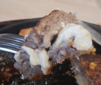 �K�X�g �`�[�YIN�n���o�[�O