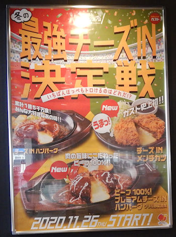 �K�X�g �ŋ��`�[�YIN�����