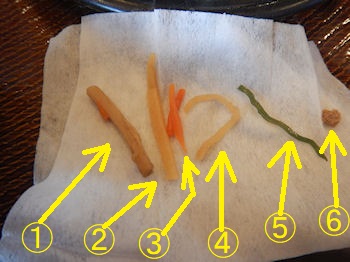 �K�X�g ��{�̐����Ă�