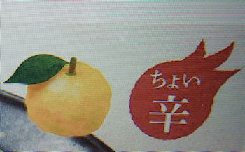 �K�X�g ��{�̐����Ă�