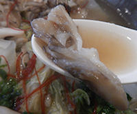 �K�X�g �Q�{��