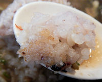 �K�X�g �Q�{��