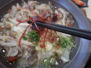 �K�X�g �Q�{��