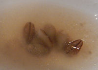 �K�X�g �Q�{��