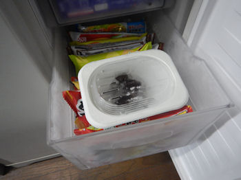 �K�X�g �`���R���[�g�P�[�L