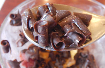 �K�X�g �`���R���[�g�p�t�F