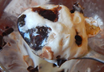 �K�X�g �`���R���[�g�p�t�F