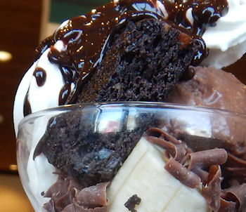 �K�X�g �`���R���[�g�p�t�F