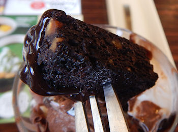 �K�X�g �`���R���[�g�p�t�F