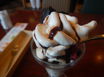 �K�X�g �`���R���[�g�p�t�F