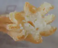 �K�X�g �`�����X