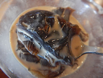 �K�X�g �R�[�q�[�[���[