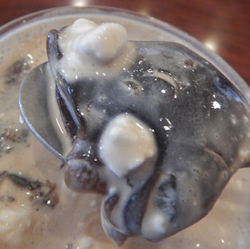 �K�X�g �R�[�q�[�[���[