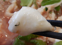 �K�X�g �g�}�g���