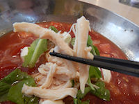 �K�X�g �g�}�g���