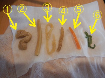 �K�X�g�@�R���I�N���̗��