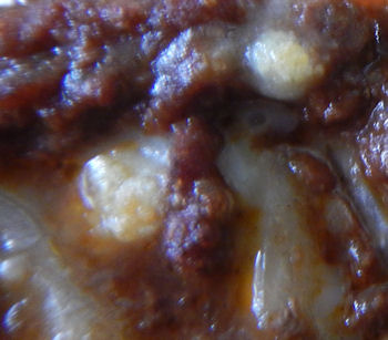 �K�X�g �h���C�J���[�s�U