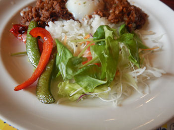 �K�X�g �h���C�J���[