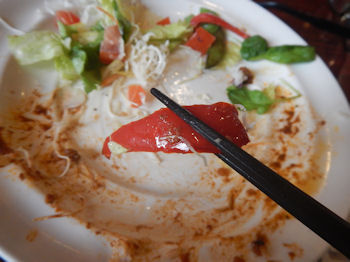 �K�X�g �h���C�J���[