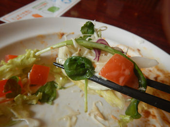 �K�X�g �h���C�J���[