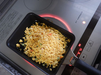 �K�X�g �h���C�J���[