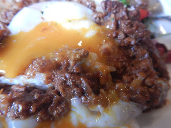 �K�X�g �h���C�J���[