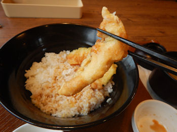 �K�X�g �C�V�V��