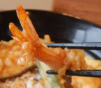 �K�X�g �C�V�V��