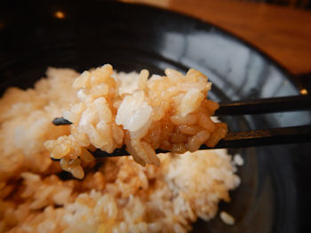 �K�X�g �C�V�V��