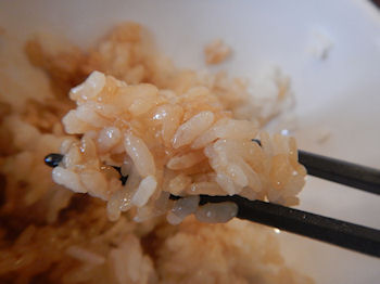 �K�X�g �~�j��ؓV��