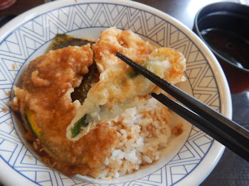 �a�H���� �C�V�V��